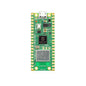 Raspberry Pi Pico / Pico W
