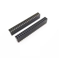 40X2 Female