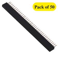 40X1 Female