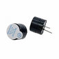 Goli Buzzer 12V