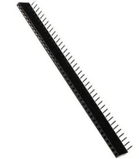 40x1 L‑Type Female Header – 2.54mm Pitch