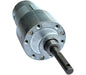 Johnson Motor – 100 RPM